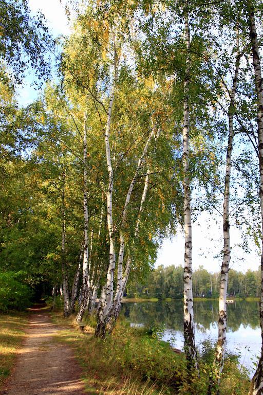 Hotel Am Springhorstsee Гроссбургведель Экстерьер фото