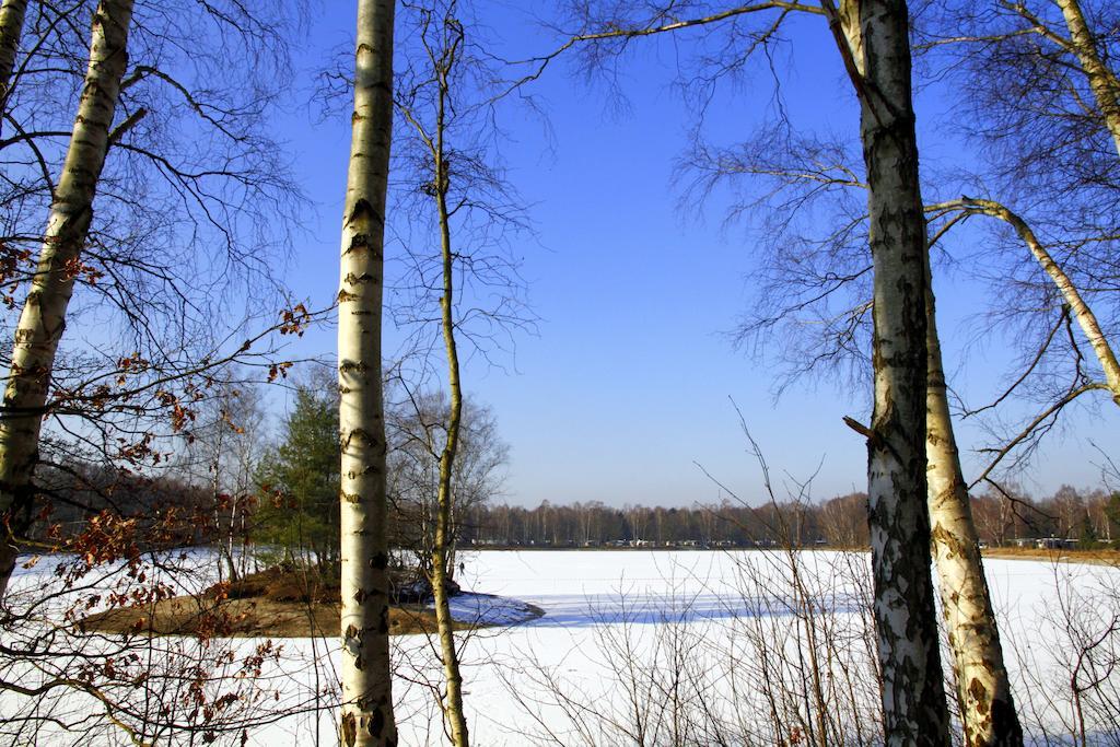 Hotel Am Springhorstsee Гроссбургведель Экстерьер фото